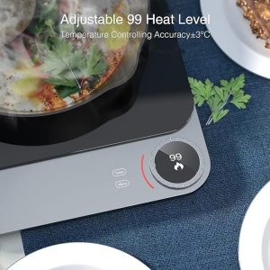 plaque de cuisson induction portable