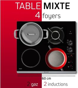 plaque mixte gaz induction