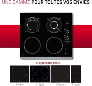 plaque mixte gaz induction