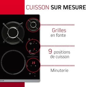 plaque mixte gaz induction